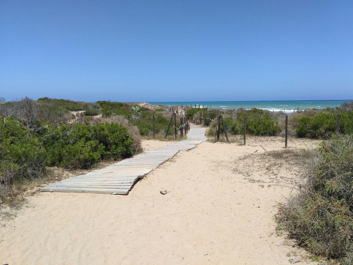 Luxury And Modern Beach Apartment With Sea Views La Mata  Bagian luar foto